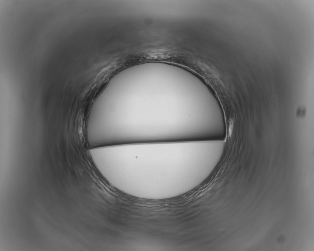 X0000096701444200802261553