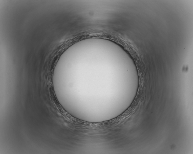 X0000096701445200802261553