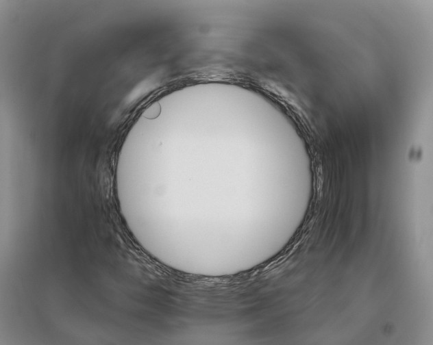 X0000096701446200802261553