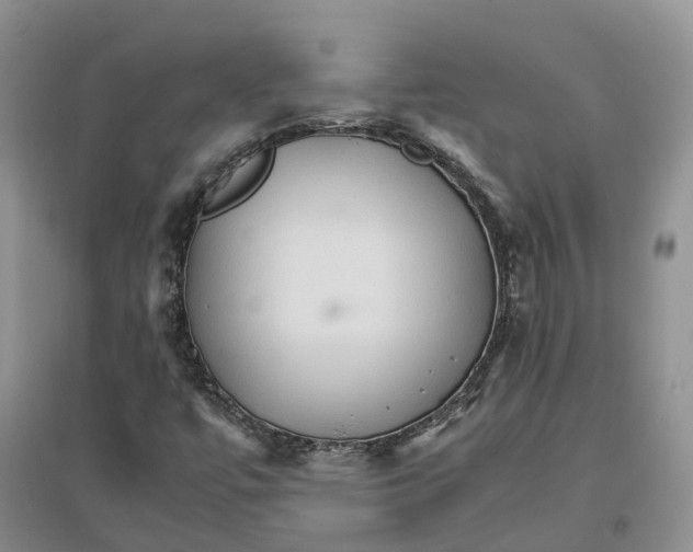 X0000096701447200802261553