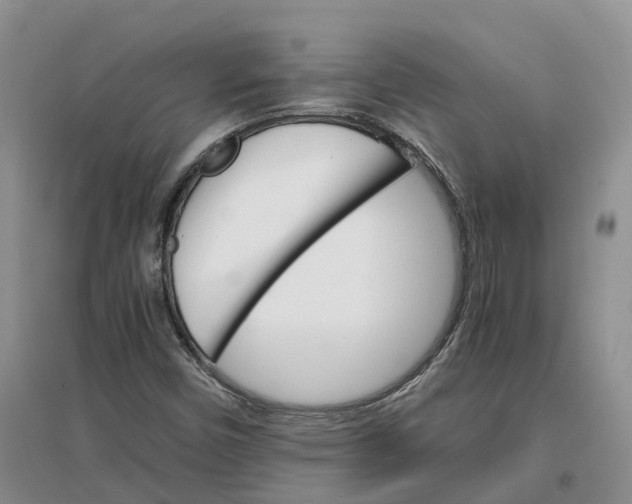X0000096701450200802261553