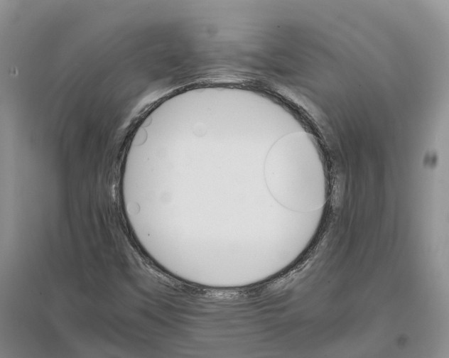 X0000096701451200802261553