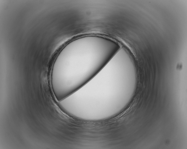 X0000096701452200802261553