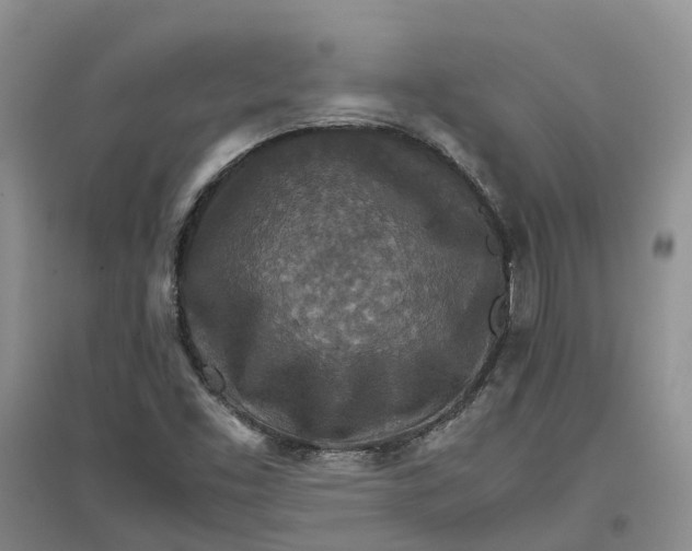 X0000096701453200802261553