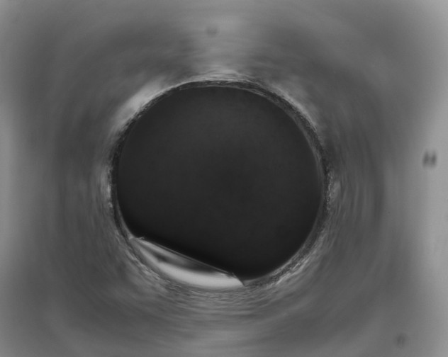 X0000096701455200802261553