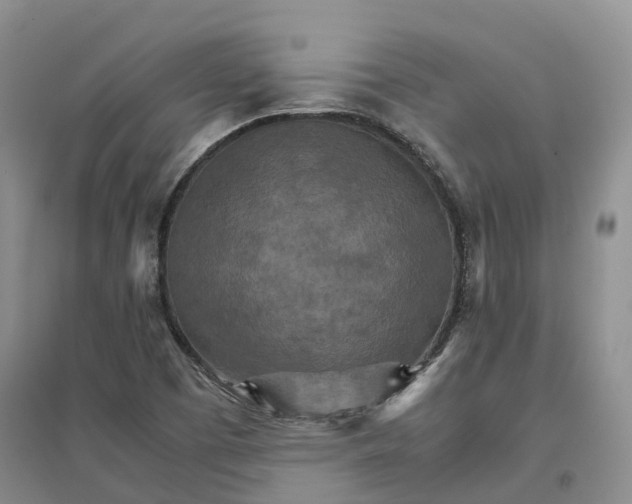 X0000096701457200802261553