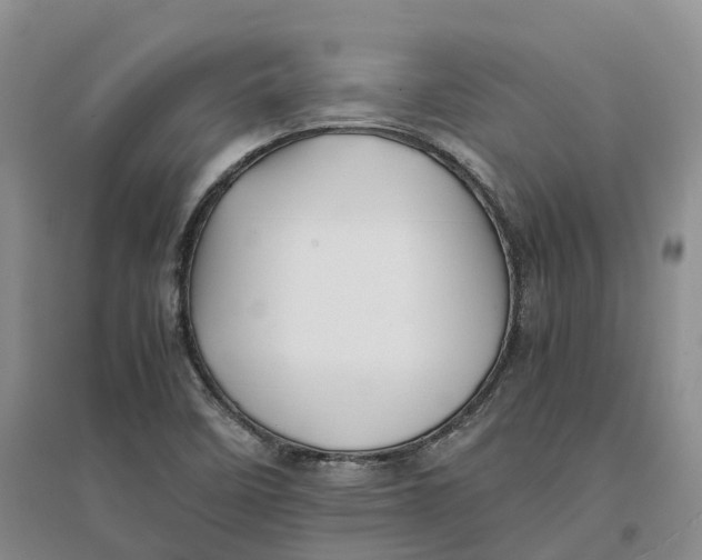 X0000096701458200802261553