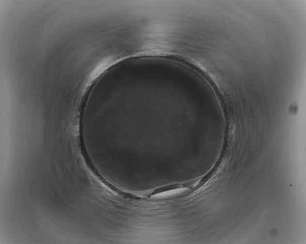 X0000096701459200802261553
