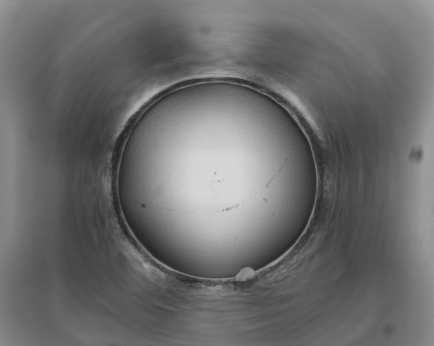 X0000096701460200802261553