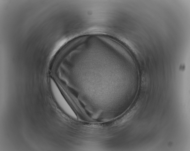 X0000096701461200802261553