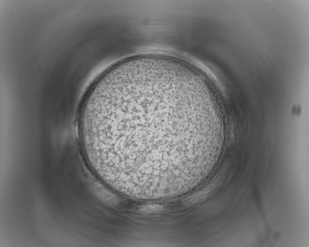 X0000096701462200802261553