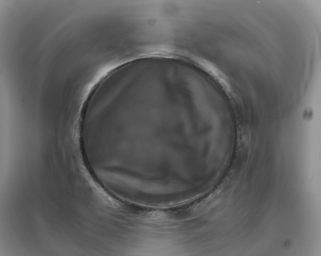 X0000096701463200802261553