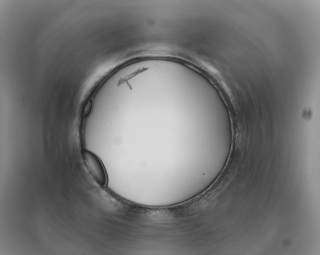 X0000096701464200802261553