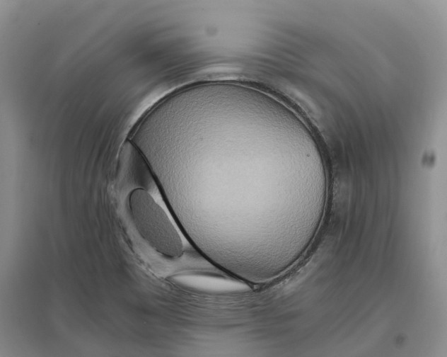 X0000096701465200802261553