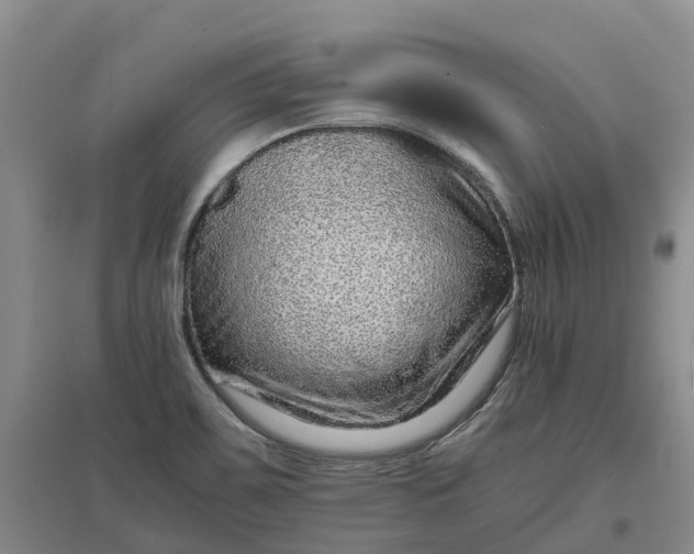 X0000096701467200802261553