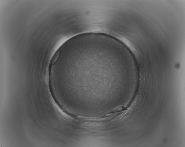 X0000096701468200802261553