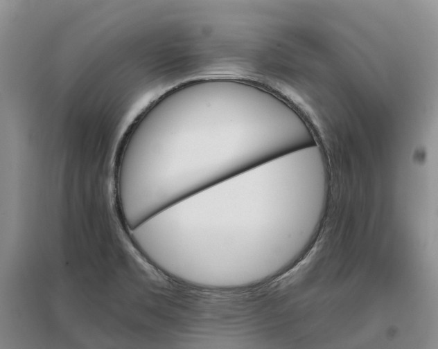X0000096701469200802261553