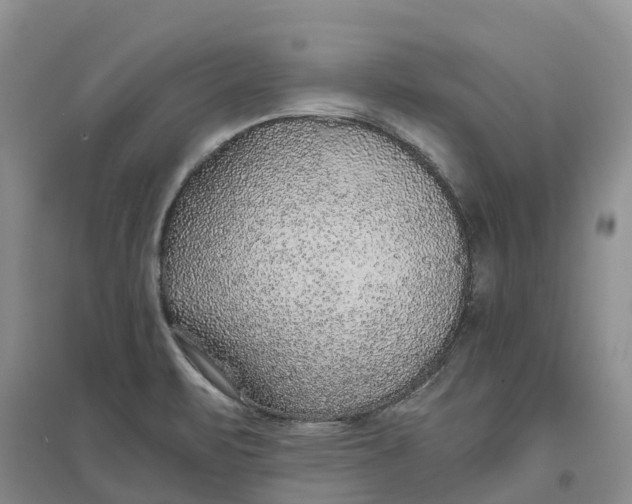X0000096701471200802261553