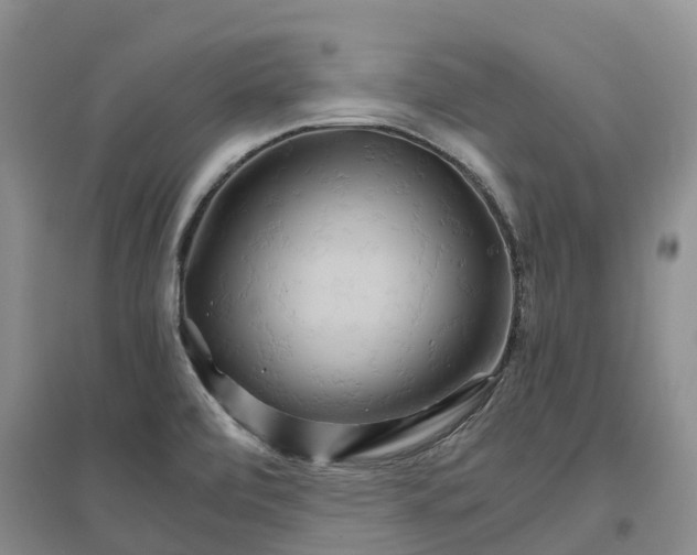 X0000096701472200802261553