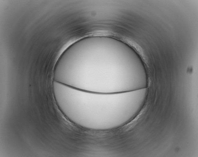 X0000096701473200802261553
