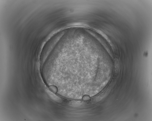 X0000096701474200802261553