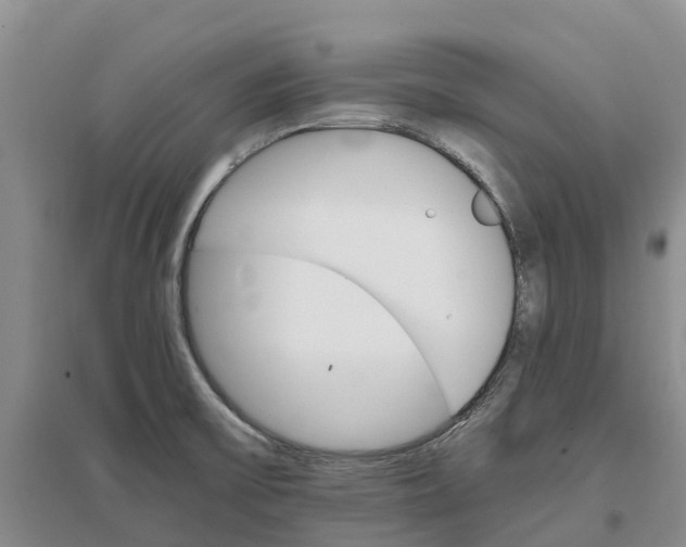 X0000096701475200802261553