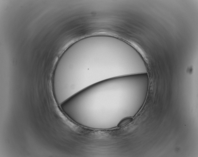 X0000096701476200802261553