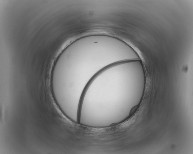 X0000096701477200802261553