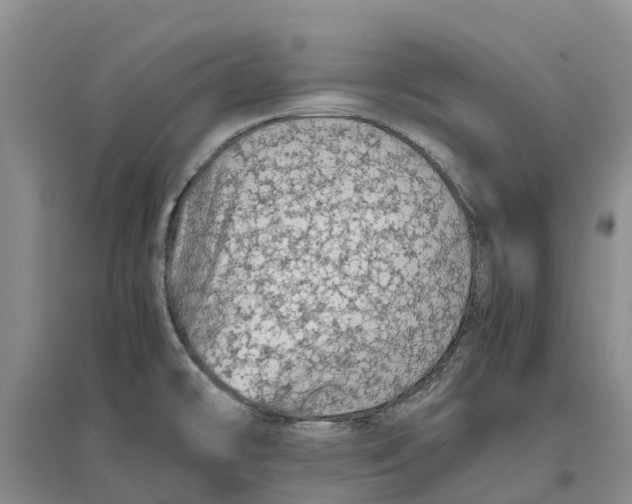 X0000096701478200802261553