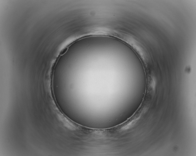 X0000096701480200802261553