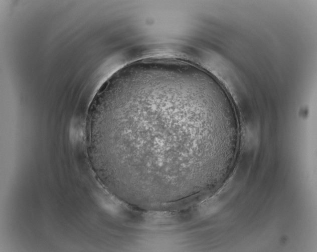 X0000096701481200802261553
