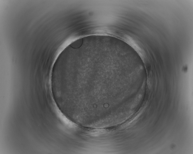 X0000096701482200802261553