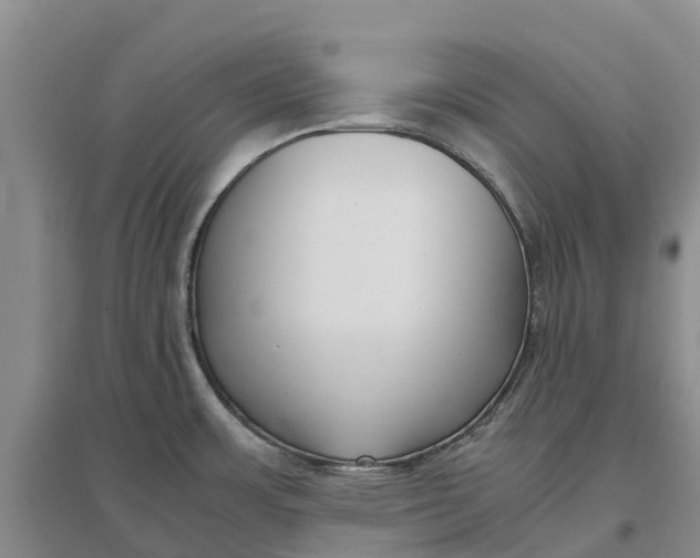 X0000096701483200802261552