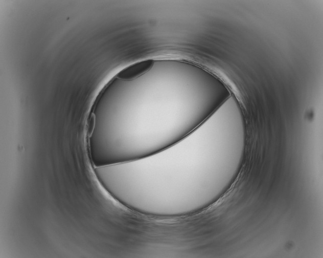 X0000096701484200802261552