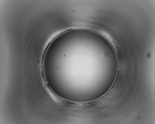 X0000096701485200802261552