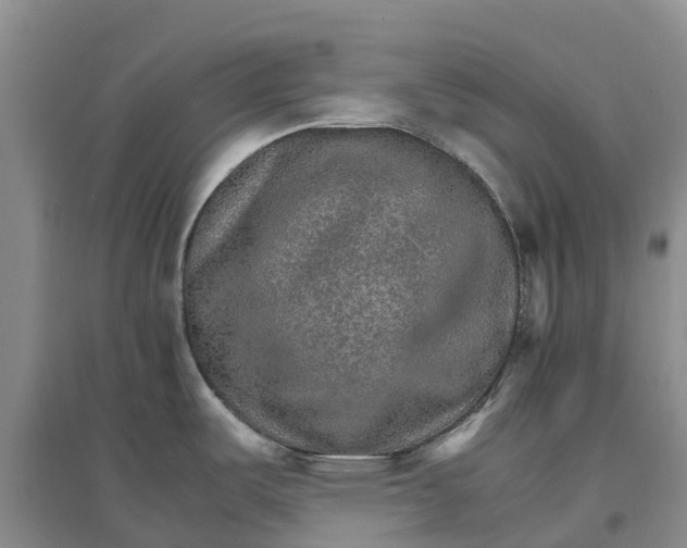 X0000096701487200802261552