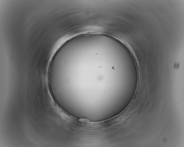 X0000096701488200802261552