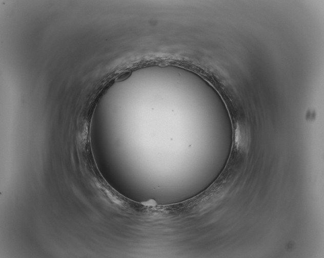 X0000096701492200802261552