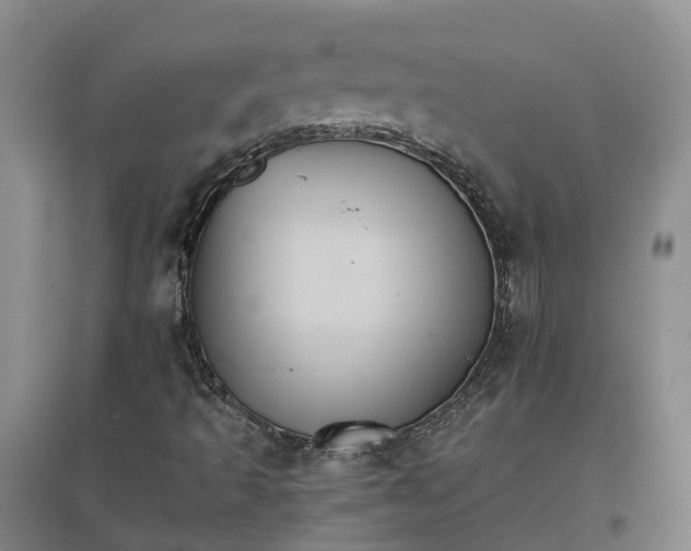 X0000096701493200802261552
