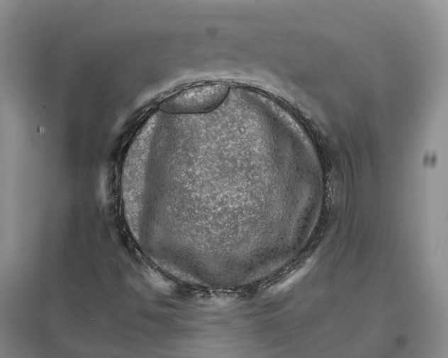 X0000096701494200802261552