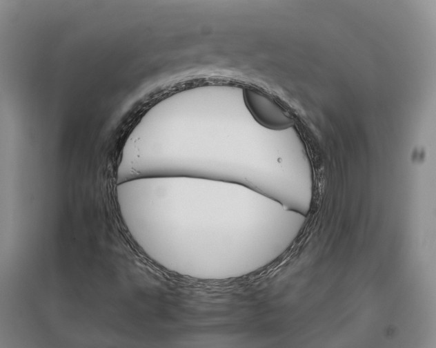 X0000096701495200802261552