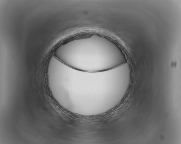 X0000096701496200802261552