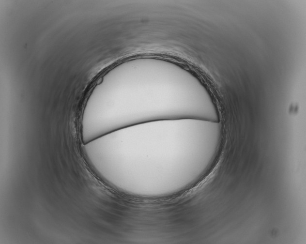 X0000096701497200802261552