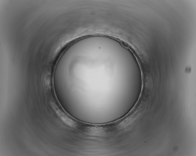 X0000096701499200802261552