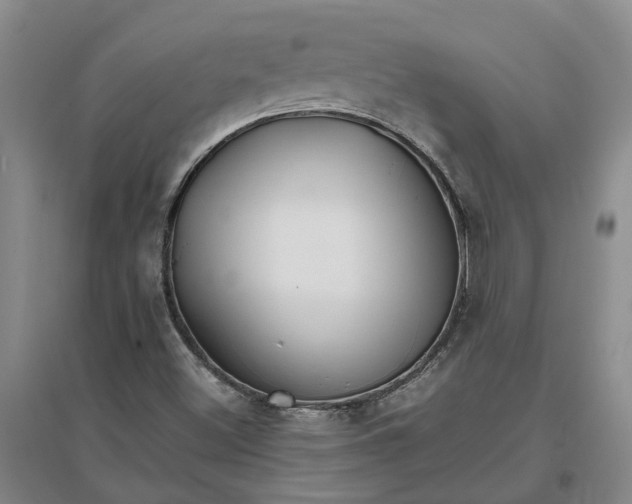 X0000096701500200802261552