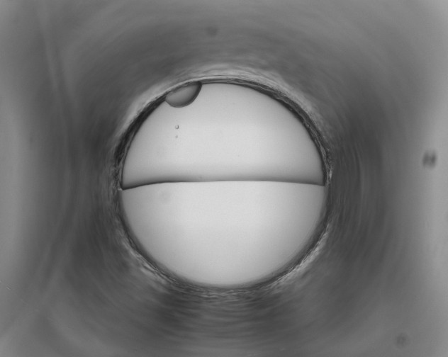 X0000096701501200802261552