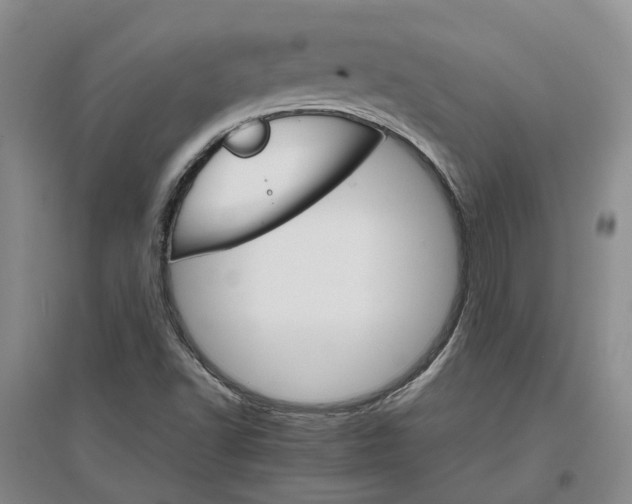 X0000096701502200802261552