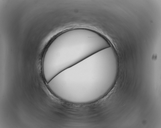 X0000096701503200802261552