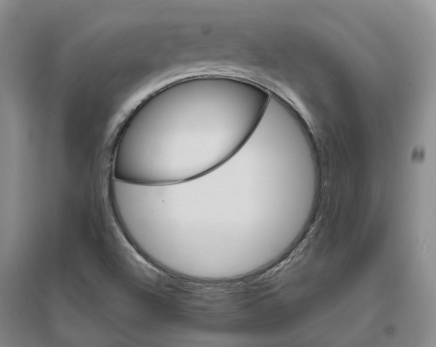 X0000096701504200802261552