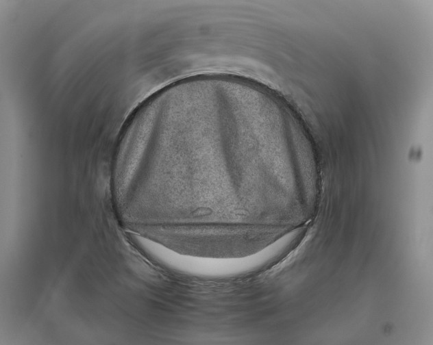 X0000096701505200802261552
